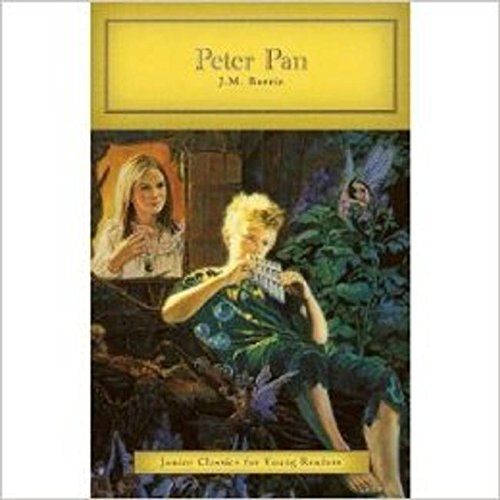 Stock image for Peter Pan for sale by Wonder Book