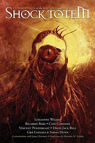 Shock Totem 2: Curious Tales of the Macabre and Twisted (9781453636008) by Shock Totem