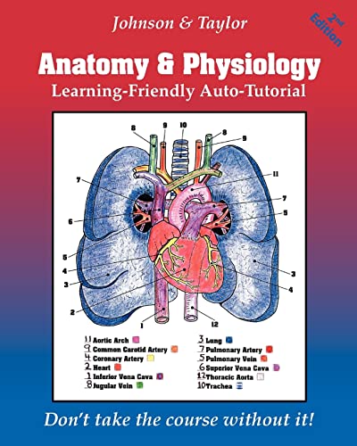 Stock image for Anatomy & Physiology Learning-Friendly Auto-Tutorial for sale by ThriftBooks-Atlanta