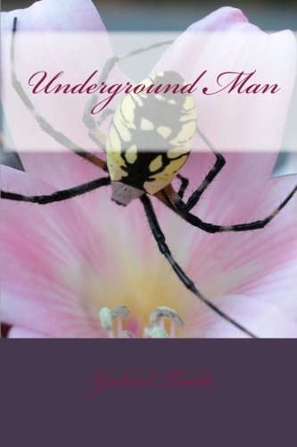 9781453801161: Underground Man