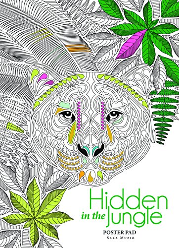 9781454709404: Hidden in the Jungle Poster Pad