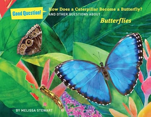 Imagen de archivo de How Does a Caterpillar Become a Butterfly? : And Other Questions about Butterflies a la venta por Better World Books