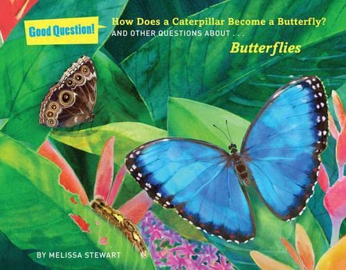9781454906674: How Does a Caterpillar Become a Butterfly?: And Other Questions About Butterflies (Good Question!)