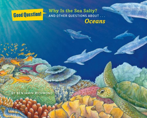 Imagen de archivo de Why Is the Sea Salty?: And Other Questions About Oceans (Good Question!) a la venta por Half Price Books Inc.