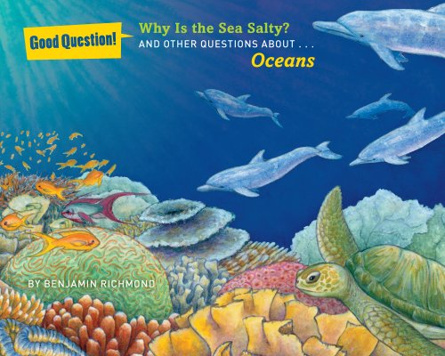 Beispielbild fr Why Is the Sea Salty?: And Other Questions about Oceans (Good Question!) zum Verkauf von Wonder Book