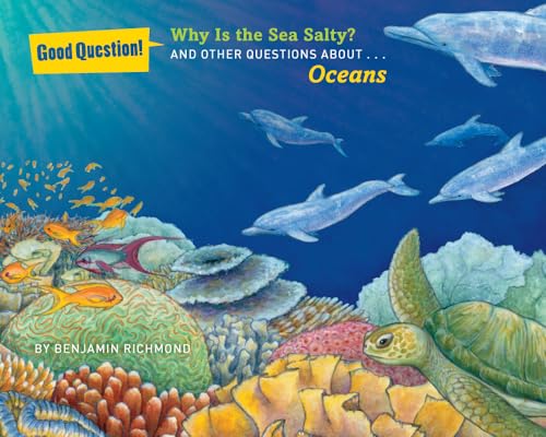 Imagen de archivo de Why Is the Sea Salty?: And Other Questions About Oceans (Good Question!) a la venta por Your Online Bookstore