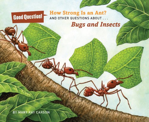 Beispielbild fr How Strong Is an Ant?: And Other Questions About Bugs and Insects (Good Question!) zum Verkauf von Wonder Book