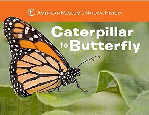 9781454914068: Caterpillar to Butterfly (Science for Toddlers)