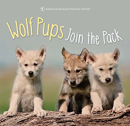 Stock image for Wolf Pups Join the Pack (First Discoveries) for sale by Goodwill of Colorado