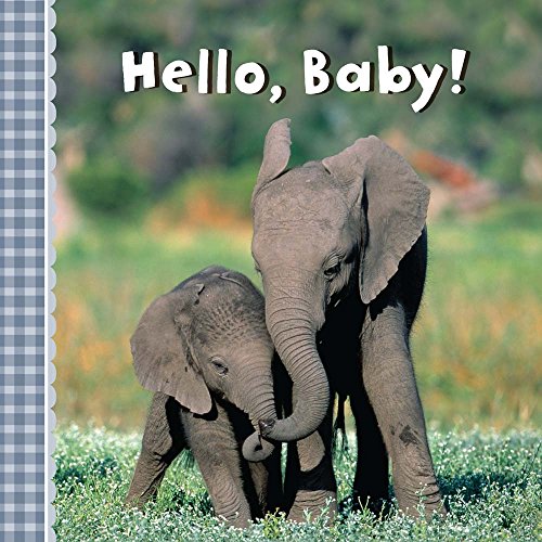 Imagen de archivo de Hello, Baby! a la venta por Better World Books