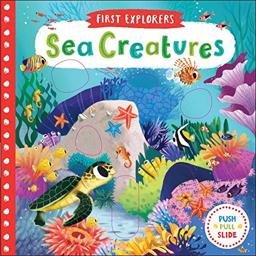 Beispielbild fr Sea Creatures (First Explorers) zum Verkauf von SecondSale