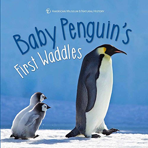 Imagen de archivo de Baby Penguin's First Waddles (First Discoveries) a la venta por Orion Tech