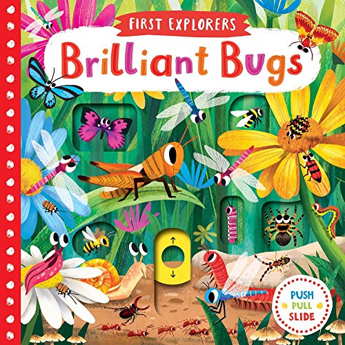 Stock image for Brilliant Bugs (First Explorers) for sale by HPB-Diamond
