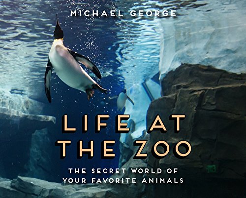 Imagen de archivo de Life at the Zoo: The Secret World of Your Favorite Animals a la venta por WorldofBooks