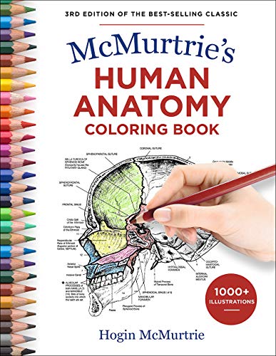 Stock image for McMurtrie's Human Anatomy Coloring Book for sale by ThriftBooks-Dallas