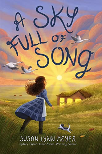 Stock image for A Sky Full of Song for sale by BooksRun