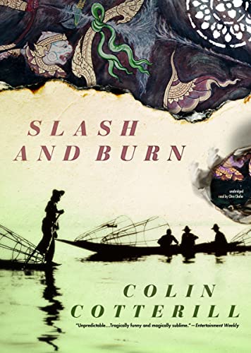 Slash and Burn (The Dr. Siri Investigations, Book 8)