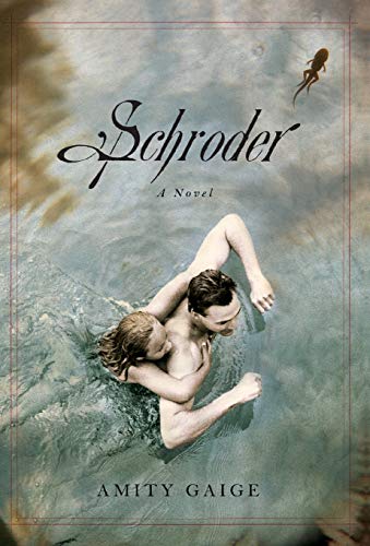 Beispielbild fr Schroder: A Novel zum Verkauf von SecondSale