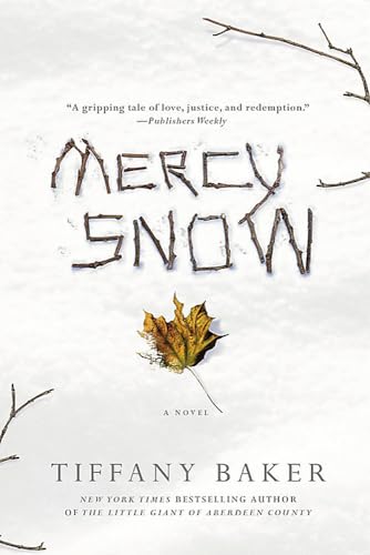 Beispielbild fr Mercy Snow: A Novel zum Verkauf von Wonder Book