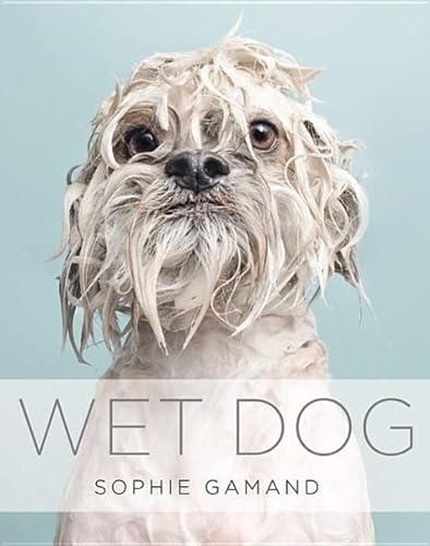 9781455531479: Wet Dog