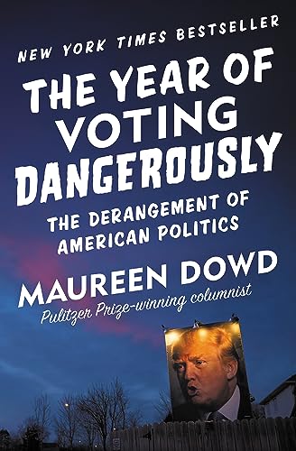 Stock image for The Year of Voting Dangerously: The Derangement of American Politics for sale by Bookmonger.Ltd