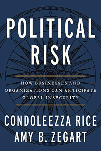 Beispielbild fr Political Risk : How Businesses and Organizations Can Anticipate Global Insecurity zum Verkauf von Better World Books: West