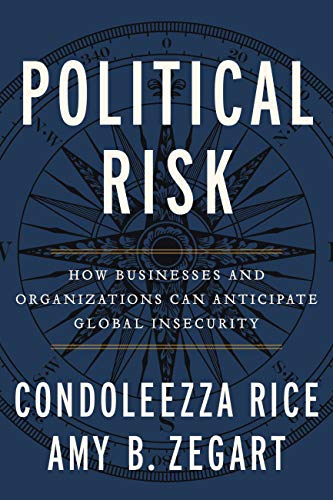 Imagen de archivo de Political Risk : How Businesses and Organizations Can Anticipate Global Insecurity a la venta por Better World Books: West