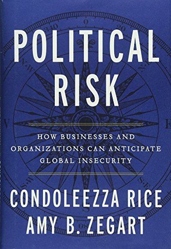 Imagen de archivo de Political Risk: How Businesses and Organizations Can Anticipate Global Insecurity a la venta por SecondSale