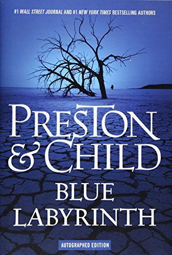 Beispielbild fr Blue Labyrinth zum Verkauf von BookOutlet