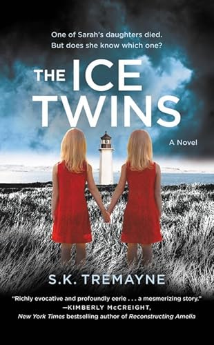 Stock image for The Ice Twins: A Novel for sale by HPB-Diamond