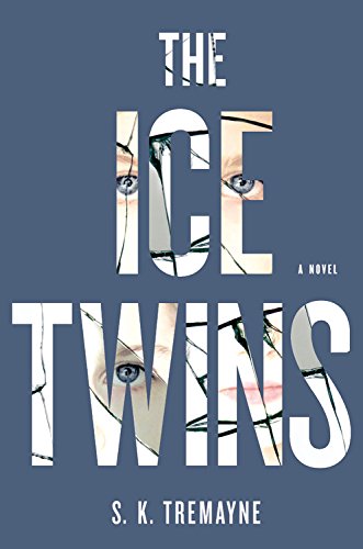 Stock image for The Ice Twins: A Novel for sale by SecondSale