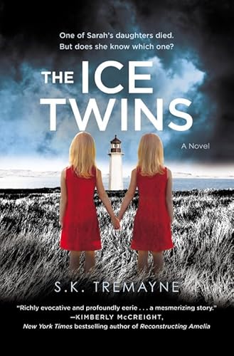 Beispielbild fr The Ice Twins : A Novel zum Verkauf von Better World Books