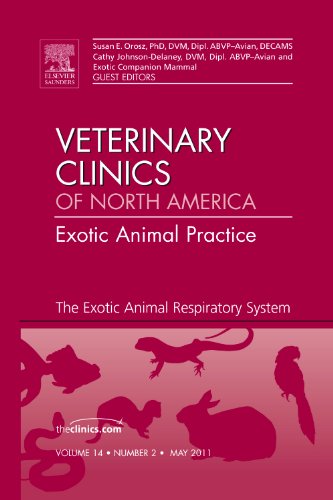 Stock image for The Exotic Animal Respiratory System Medicine, An Issue of Veterinary Clinics: Exotic Animal Practice (Volume 14-2) (The Clinics: Veterinary Medicine, Volume 14-2) for sale by HPB-Red