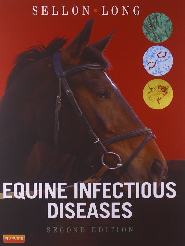 9781455708918: Equine Infectious Diseases [Lingua inglese]