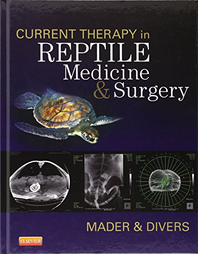 9781455708932: Current Therapy in Reptile Medicine and Surgery