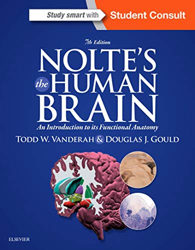 9781455728596: Nolte's The Human Brain: An Introduction to its Functional Anatomy