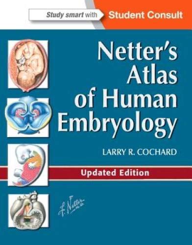 Imagen de archivo de Netters Atlas of Human Embryology a la venta por Goodwill Books