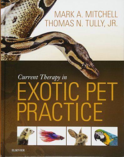 Beispielbild fr Current Therapy in Exotic Pet Practice zum Verkauf von Blackwell's