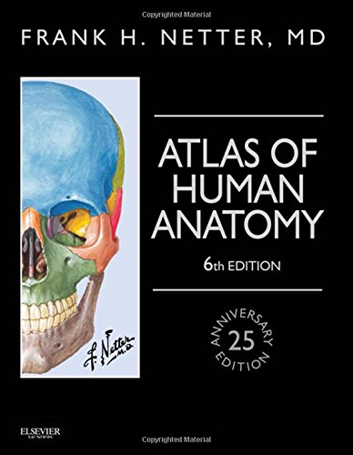 Beispielbild fr Atlas of Human Anatomy, Professional Edition: including NetterReference.com Access with Full Downloadable Image Bank (Netter Basic Science) zum Verkauf von BooksRun