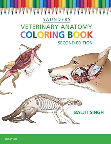 9781455776849: Veterinary Anatomy Coloring Book