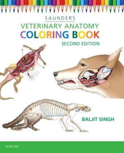 Stock image for Veterinary Anatomy Coloring Book for sale by HPB-Red