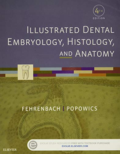 9781455776856: Illustrated Dental Embryology, Histology, and Anatomy, 4th Edition