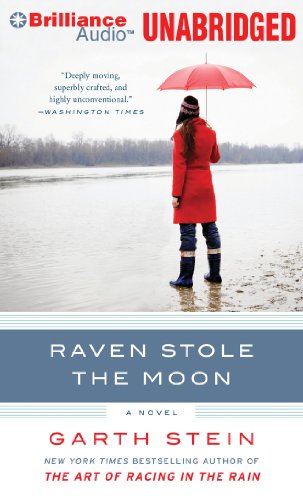 Imagen de archivo de Raven Stole the Moon a la venta por The Yard Sale Store