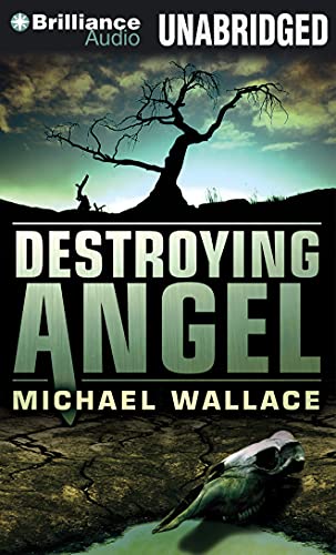 Beispielbild fr Destroying Angel (Righteous Series) zum Verkauf von ABC Books
