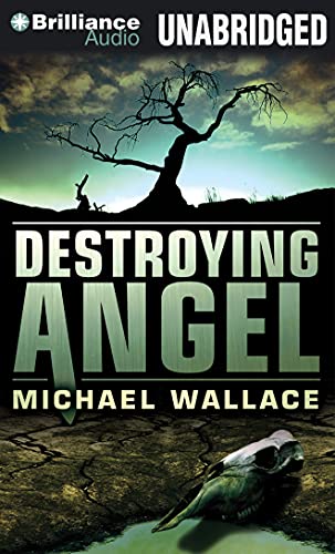 Stock image for Destroying Angel (Righteous Series) for sale by ABC Books