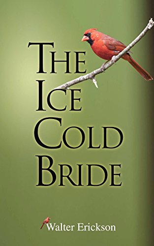 Imagen de archivo de The Ice Cold Bride: A Matt and Kelley Doyle Mystery a la venta por Revaluation Books