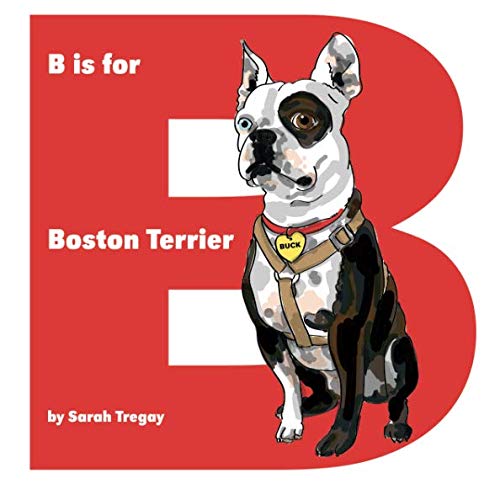 Stock image for B is for Boston Terrier for sale by Once Upon A Time Books