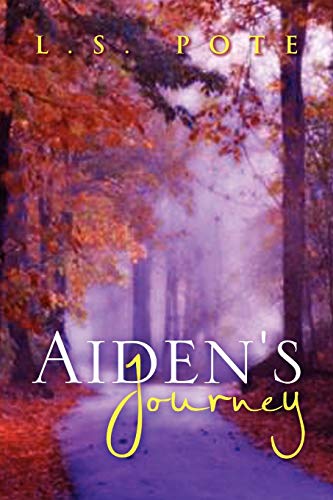 Imagen de archivo de Aiden's Journey a la venta por Lucky's Textbooks