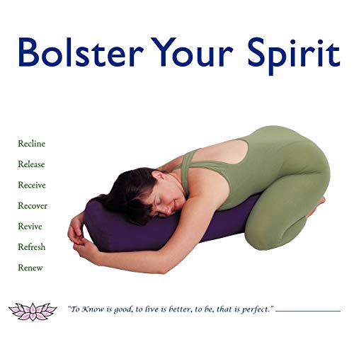 Stock image for Bolster Your Spirit for sale by PlumCircle