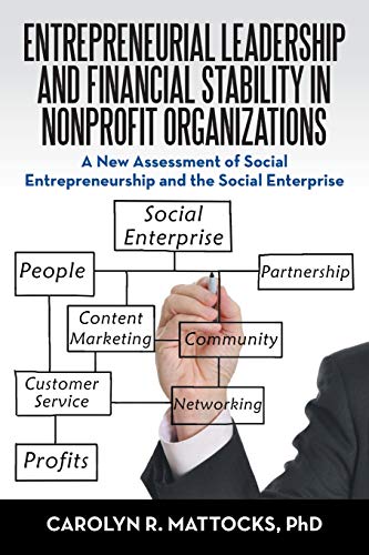 Beispielbild fr Entrepreneurial Leadership and Financial Stability in Nonprofit Organizations : A New Assessment of Social Entrepreneurship and the Social Enterprise zum Verkauf von Better World Books